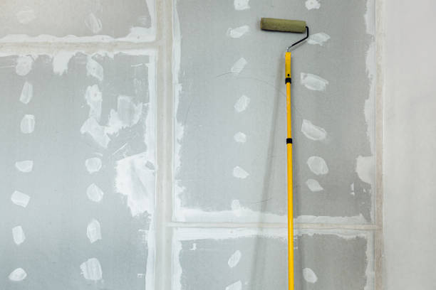 Best Post-Construction Mold Inspection  in Bellaire, OH