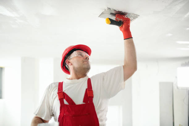 Trusted Bellaire, OH Mold Removal Experts