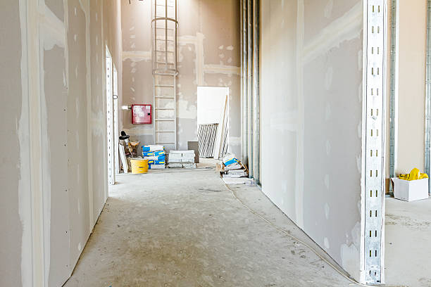 Best Environmental Consulting for Mold Prevention  in Bellaire, OH