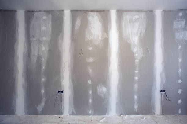 Best Mold Damage Restoration  in Bellaire, OH